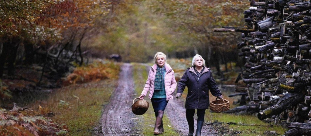 actualité quand vient l'automne