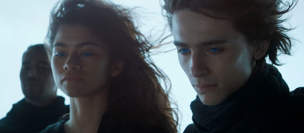 actualité dune