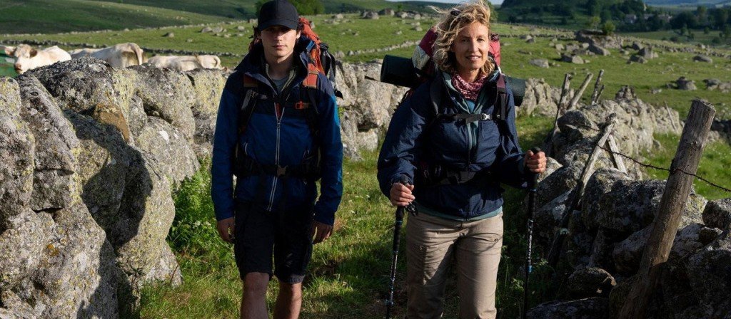 actualité compostelle