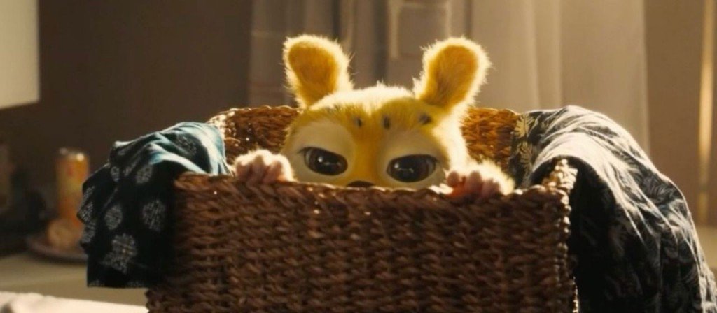 actualité marsupilami